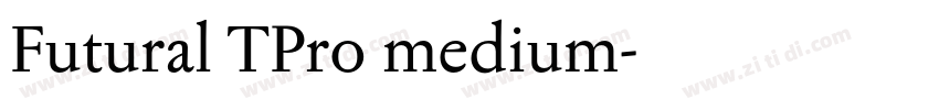 Futural TPro medium字体转换